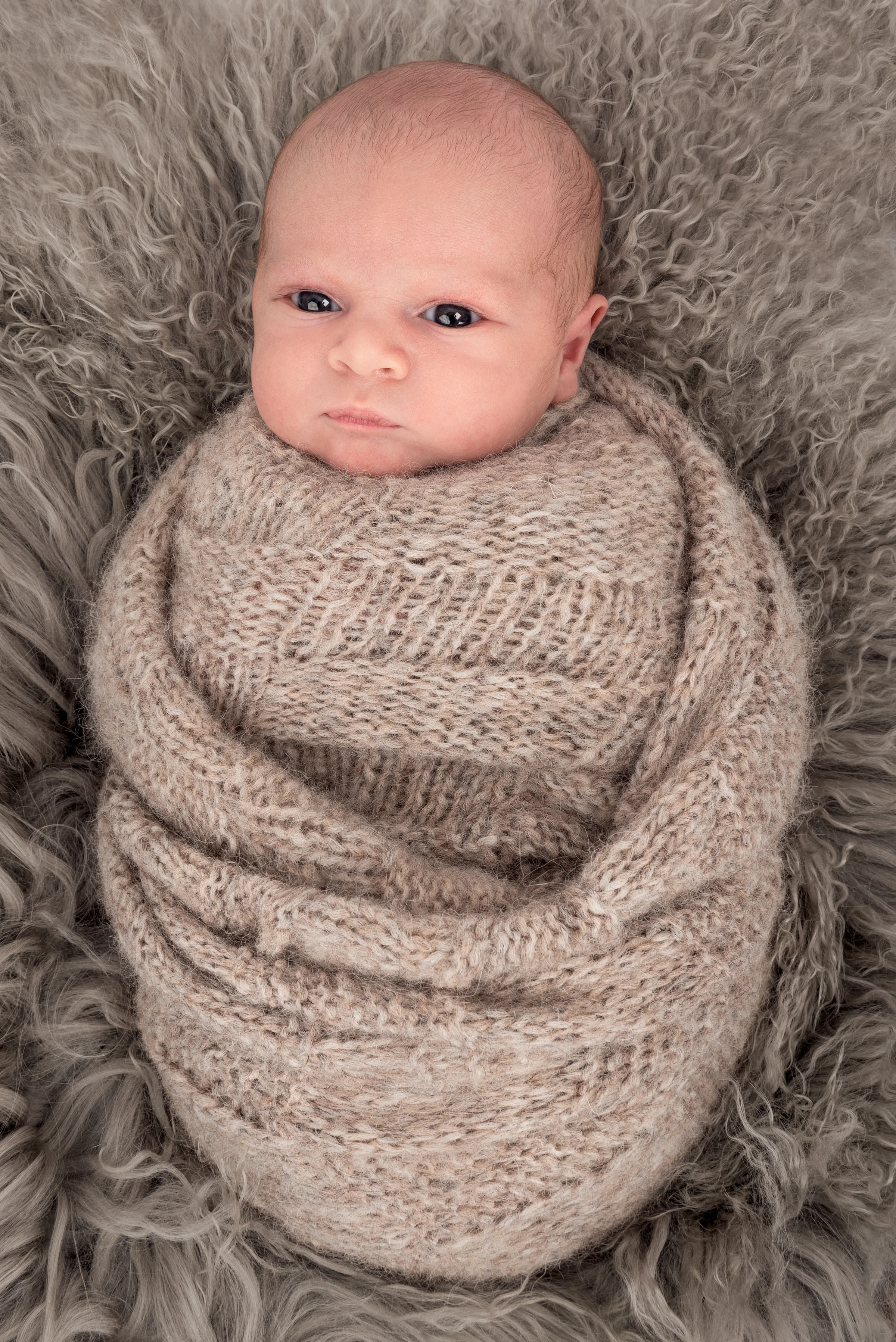 Rolig nyfødtfoto fra studio